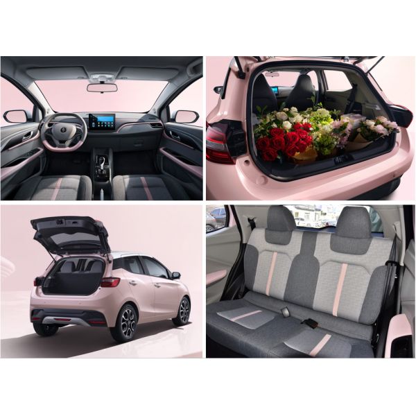 4-местный электромобиль EV3 Дальность до 320 км Максимальная скорость 100 км/ч Интеллектуальное управление автомобилем