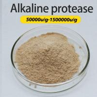 Proteolytic Foods Alkaline Protease 300000u/G For Protein Feed And Medicine