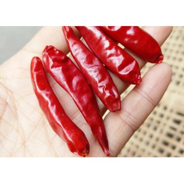 Целые стручки сушеного сычуаньского перца чили без черешка 10% влаги в упаковке по 10 кг