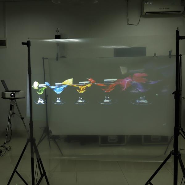 Transmittance élevée arrière transparente du film 92% de projection pour la publicité