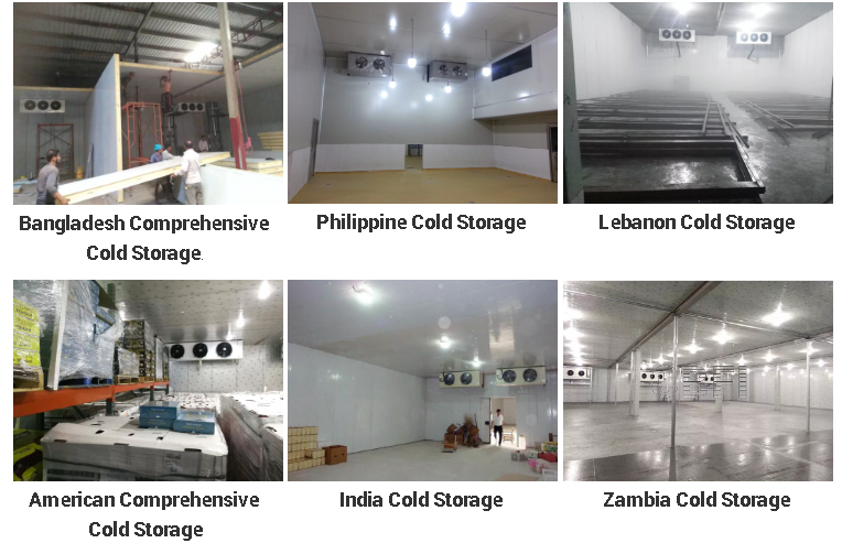 Комната замораживателя воздушного охлаждения холодная Refrigerated хранение цыпленка 5000 тонн