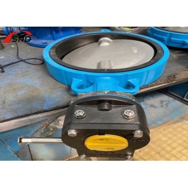 2500LB Bf Butterfly Valve Customized Ductile Iron Wafer Butterfly Valve