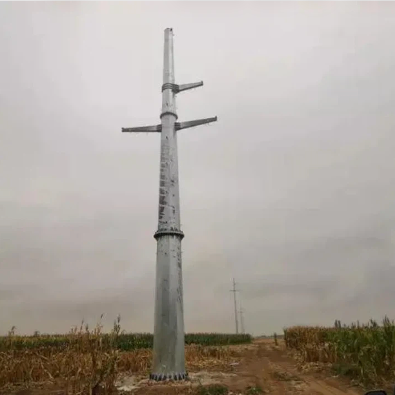 Earthquake Resistant Transmission Line Tower Customized Steel Monopole Tower For Rapid Deployment