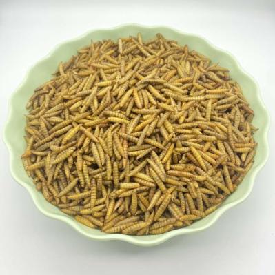 Dry Crispy Texture Freeze Dried Black Soldier Fly Larvae 3-5cm