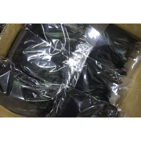 Black Coque Feather Fringe Trim With Satin Ribbon Shipping Via FedEx 4-6 Inches