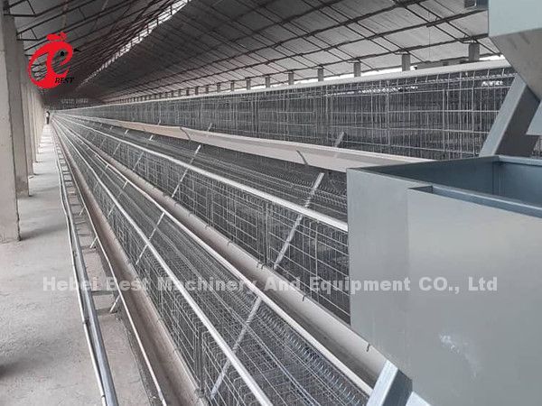 China Export Quality Battery Broiler Chicken Cage Automatic Nigeria Star