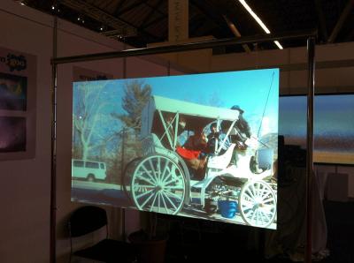 Transparent Holographic Rear Projection Film High Contrast Wide Viewing Angle For Glass
