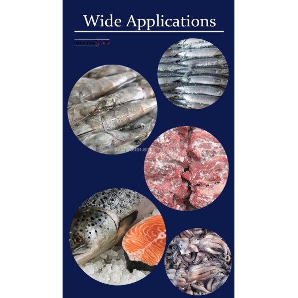 Adjustable Speed Defroster Equipment for Quick Meat Thawing in Industrial Settings
