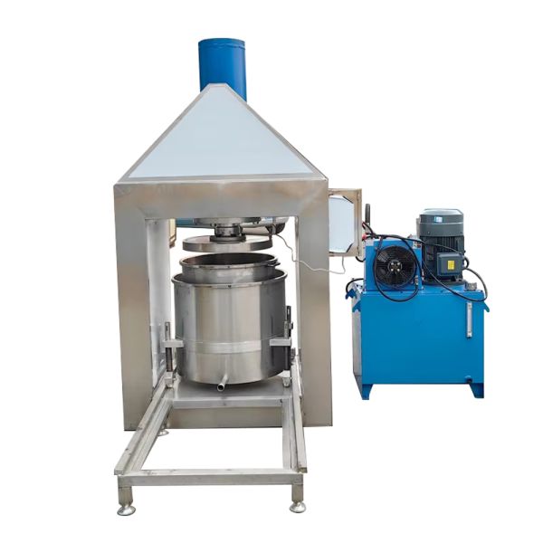 Custom Industrial Fruit and Vegetable Juicer Pomegranate Juicer Lemon Juicer Juice Extractor Cold-Press Juicer Commercial Juicer Suitable for juicing apples, pineapples, bananas, fruits and vegetables