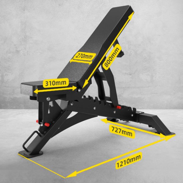 2022 Adjustable Gym Bench for Unisex Weight Lifting Workout Set Qingdao Loading Port