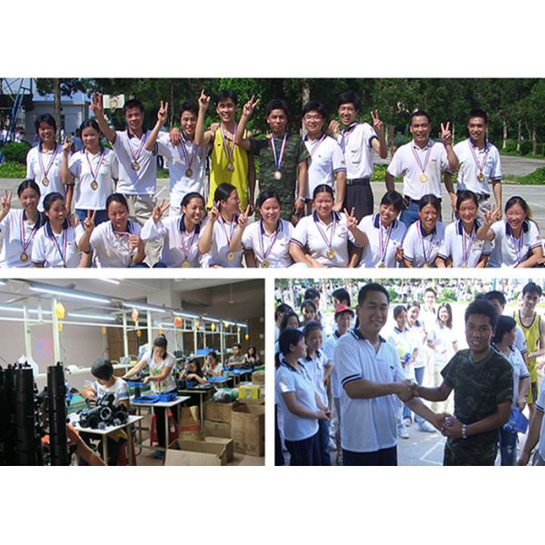 Shenzhen Zilun Electronic Co., Ltd