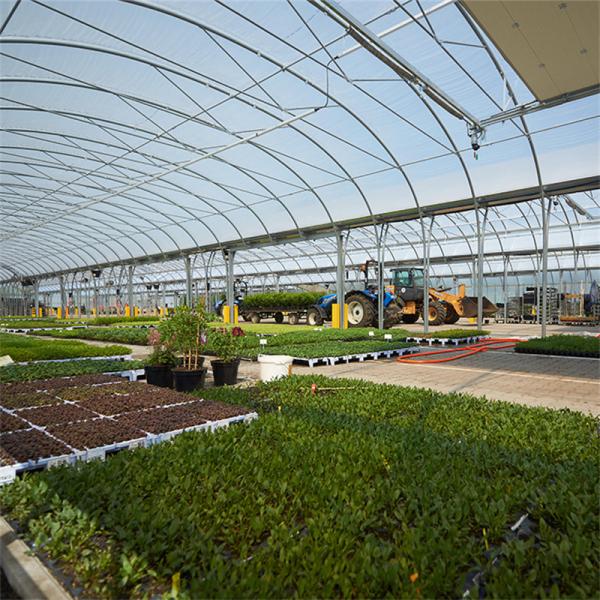 Rolling Bench Vegetable  High Tunnel Greenhouse Steel Frame Hydroponics Large Span Greenhouse