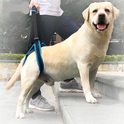 Auxiliar envelhecido alto da escada do cão de ferimento traseiro de nylon da inabilidade do pé da correia do apoio do pé do animal de estimação