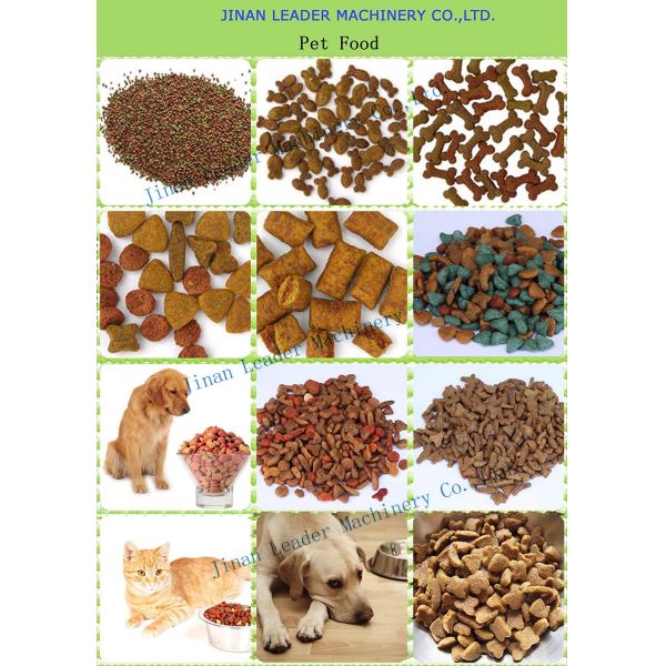 Double Screw extruder pet dog fish food making machine