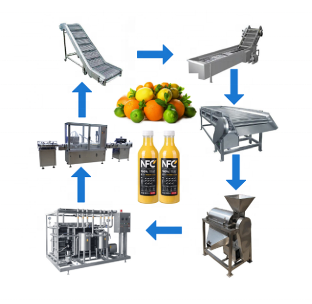 2000KG Seedless Mango Juice Processing Plant Automatic 75kw