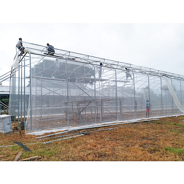 Natural Cooling Plastic Green House Made By Galvanized Pipes No Welding Design