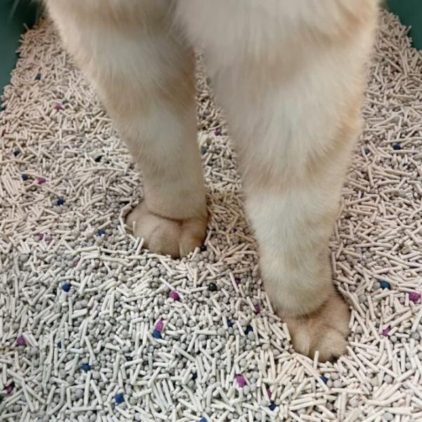 Customized Cat Litter Tofu Mix Bentonite Premium Cat Litter Sand Dust Free