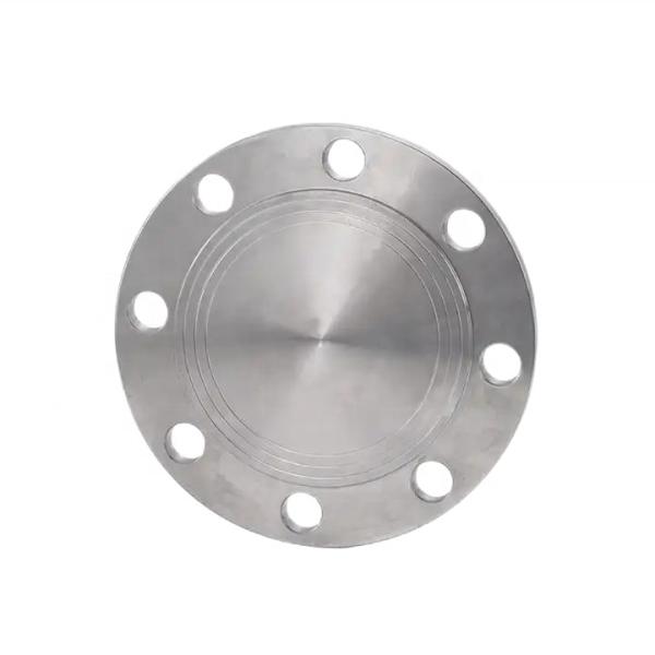 Flanco cego forjado personalizado para aço inoxidável 304 316 316L em aço carbono