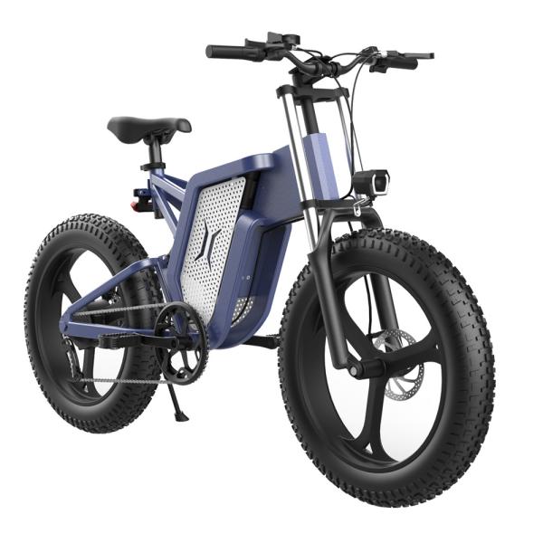 48V 1000w 20in Wheels Women'S Fat Tire Electric Bike Long Endurance