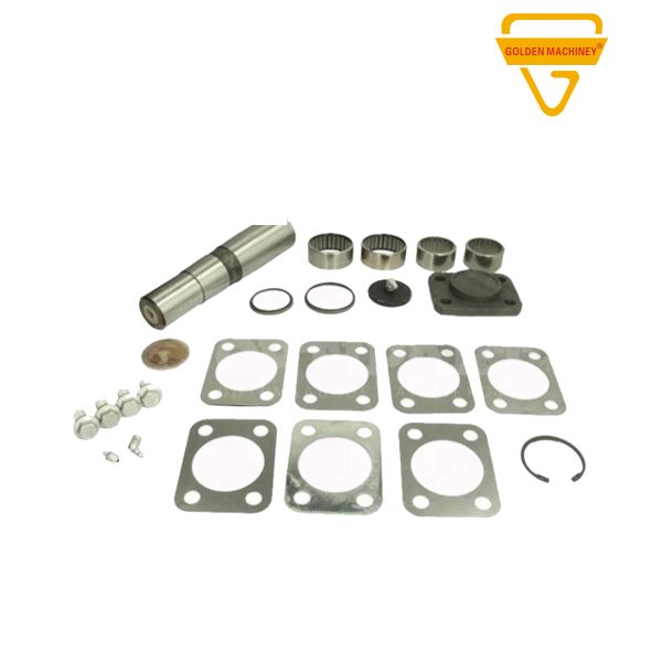 1904698 2992185 Iveco Truck Spare Parts Kingpin Repair Kit