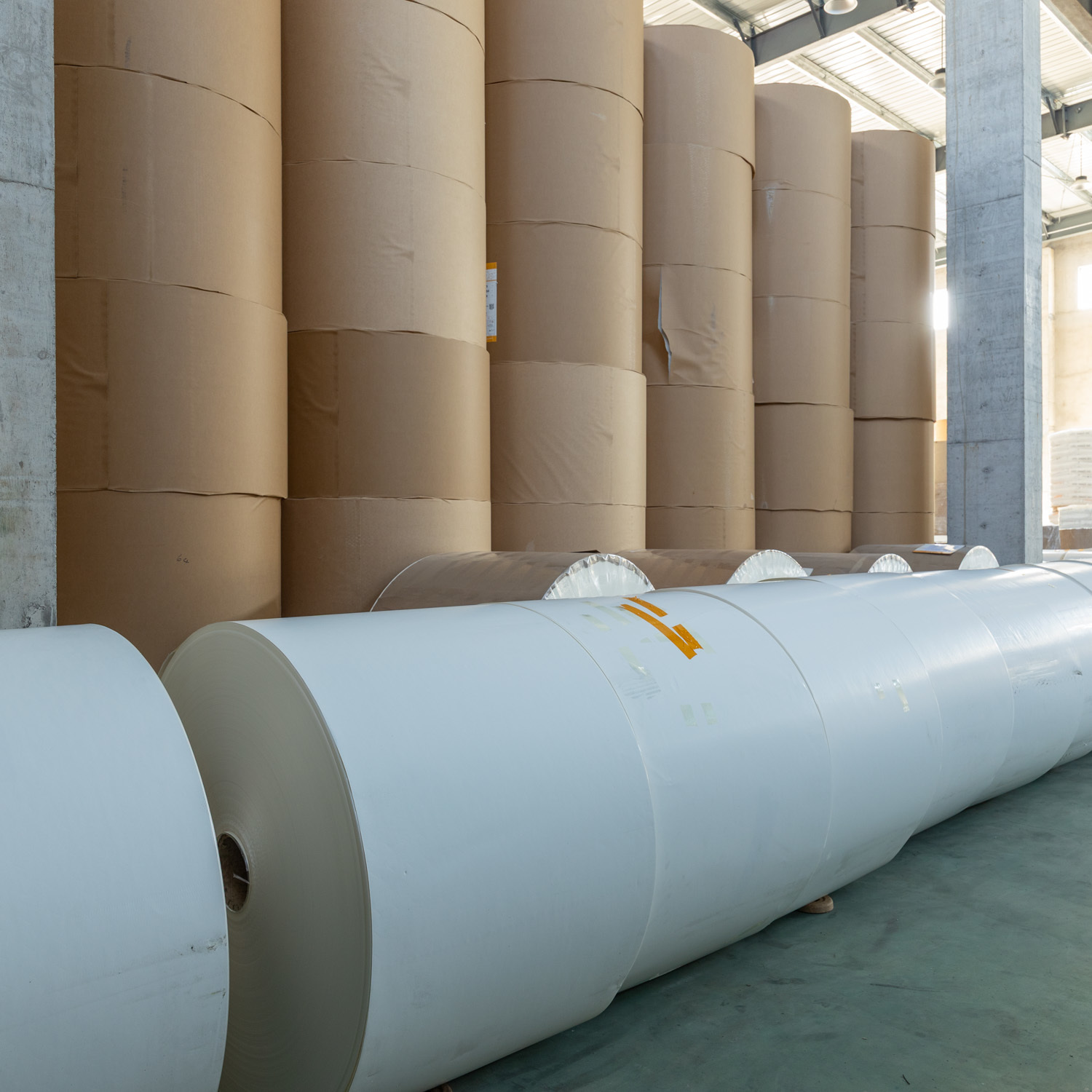 Waterproof Food Grade Kraft Cup Paper with 190-320gsm PE Coating for Beverage Packaging