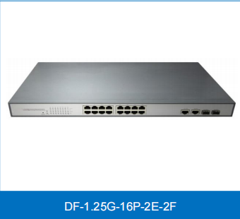 DF-1.25G-16P-2E-2F Product Description