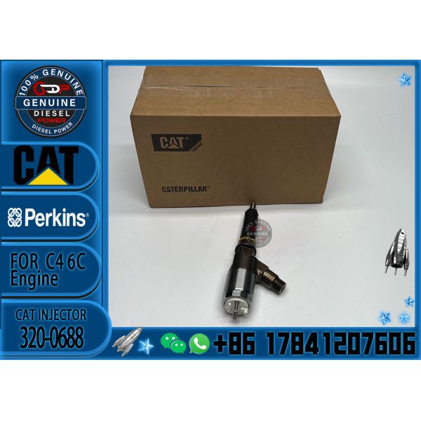 2645A748 Fuente de salida de fábrica Inyector de combustible diesel 2645A748 320-0688 10R-7939 para C4.2 C6.4 Excavadora C4.2 C6.4 320D