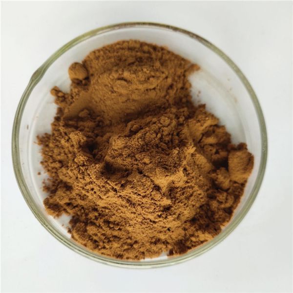 Lophatherum Herb Extract For Antineoplastic Agent