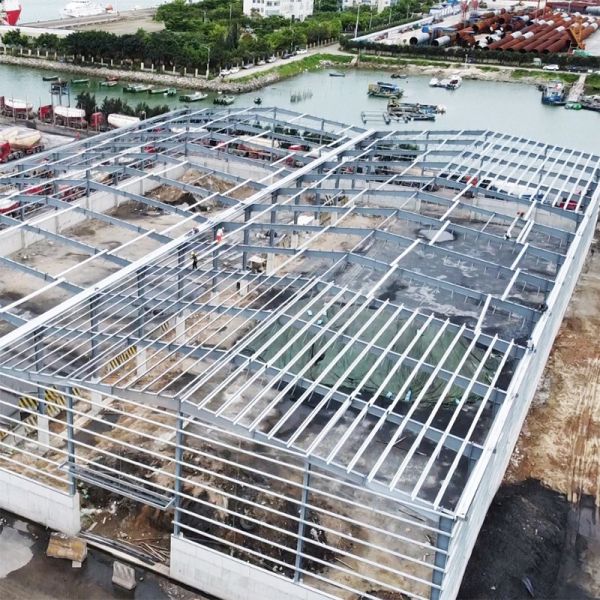 Best Steel Structure Warehouse Building Workshop Industrial Building Metal Steel Structure with Fast Install Advantage