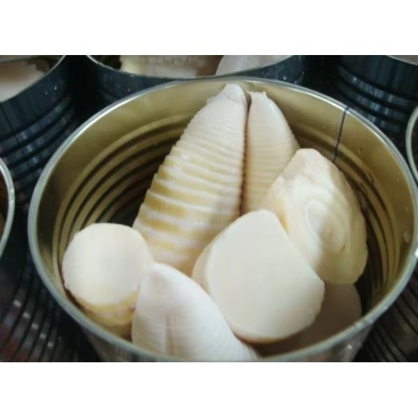 Hot Wholesale Chinese Fine Quality Freshly Slender Pickled Canned Bamboo Shoots Cut Into Halves