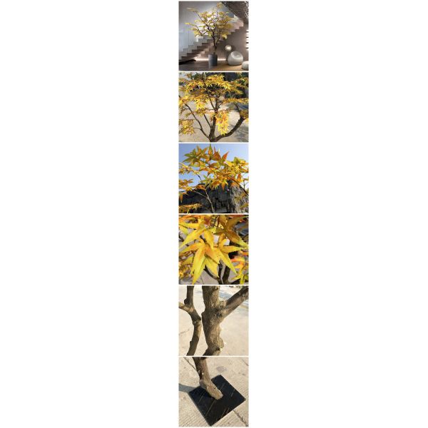 Autumn Style Artificial Maple Tree Japanese Hotel Coffee Shop Decoration