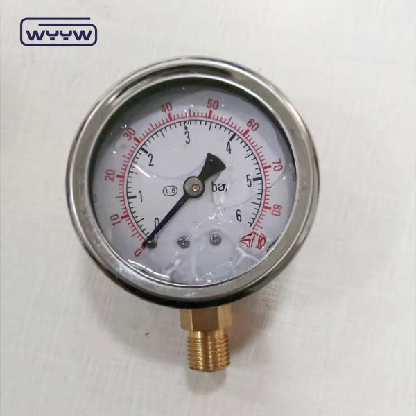 China manufacturer stainless steel 1/4bsp glycerin pressure gauge 16 bars