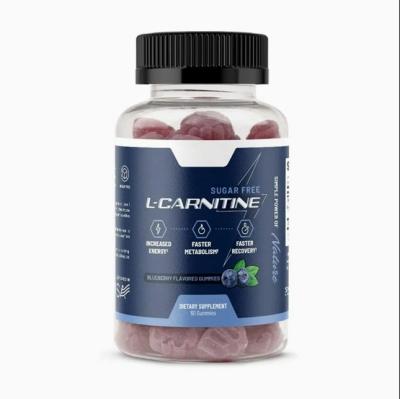 Food Grade L Creatine Female Health Supplements Energy Preworkout Gummies Bears