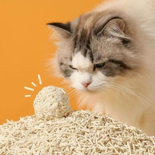 Flushable Tofu Cat Litter Natural Plant Based Strong Odor Control Solution
