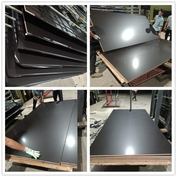 Poplar Core Film Faced Plywood