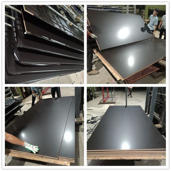 18mm Finger Jointed E2 Film Faced Plywood For Construction