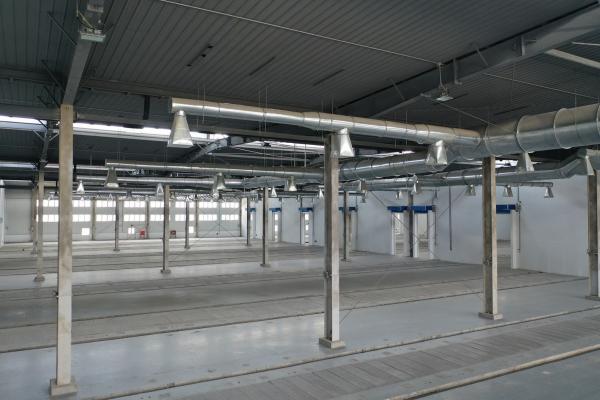 Multi Stores Steel Structures Frame Building Sale