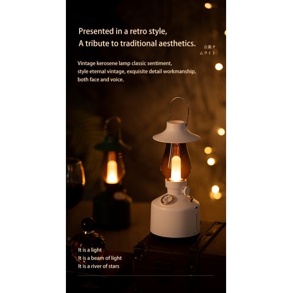 Plastic Ultrasonic Aroma Air Humidifier Household Use With Music Speaker Lamp