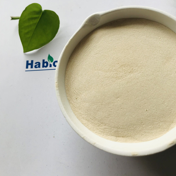 Enhance Poultry Digestive Performance with NSP Enzyme Supplement