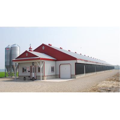Industrial Design Steel Structure Poultry Farm Shed with Essential Equipment Included