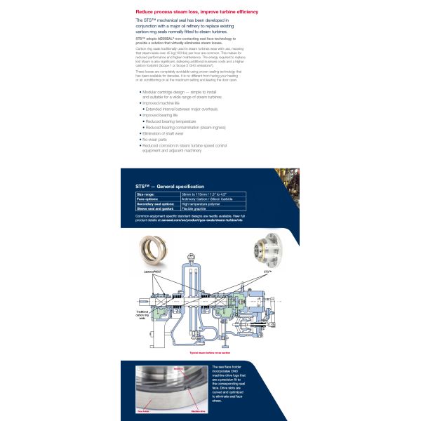 AESSEAL STS Dry Gas Seals Carbon Ring Mechanical Seal for Steam Turbines