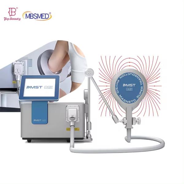 Pemf Magnetic Therapy Health Pulsed Electromagnetic Stimulation Therapy Pemf Device For Equines