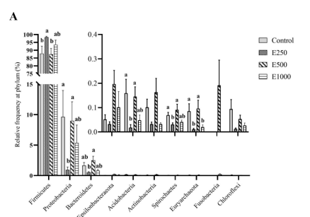 High Purity Glucose Oxidase 5000U/G Powder