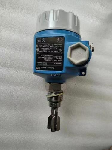Émetteur de niveau vibronique Endress+Hauser FTL50 avec protocole HART