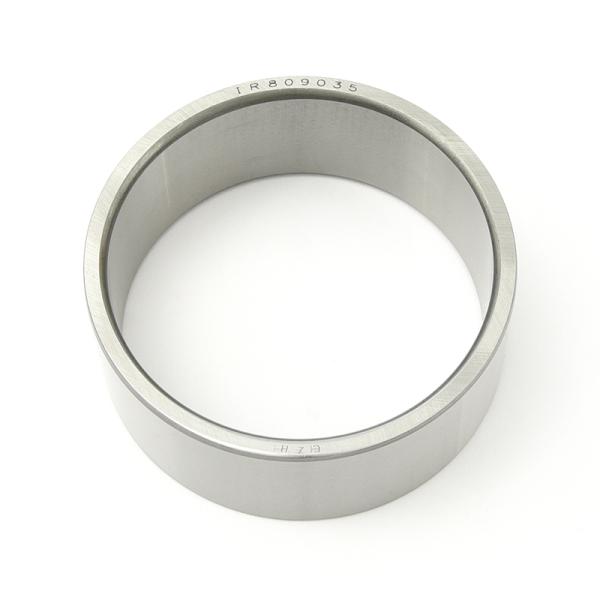 Anillos internos