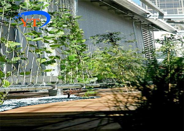 2.0mm SUS304 Stainless Steel Woven Wire Mesh Cable Netting 100x100mm For Plant Climbing