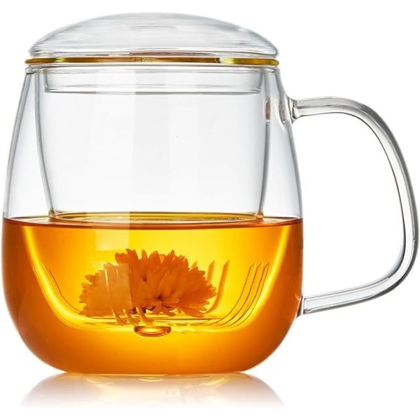 450ML Single Wall Glass Mug High Borosilicate Glass Tea Cup With Infuser And Lid