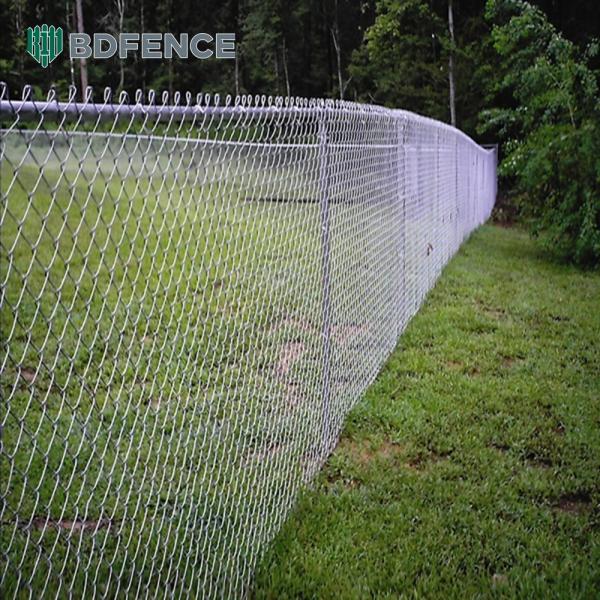 6ft 8ft Chain Link Fence With PVC Coated And Galvanized Finish