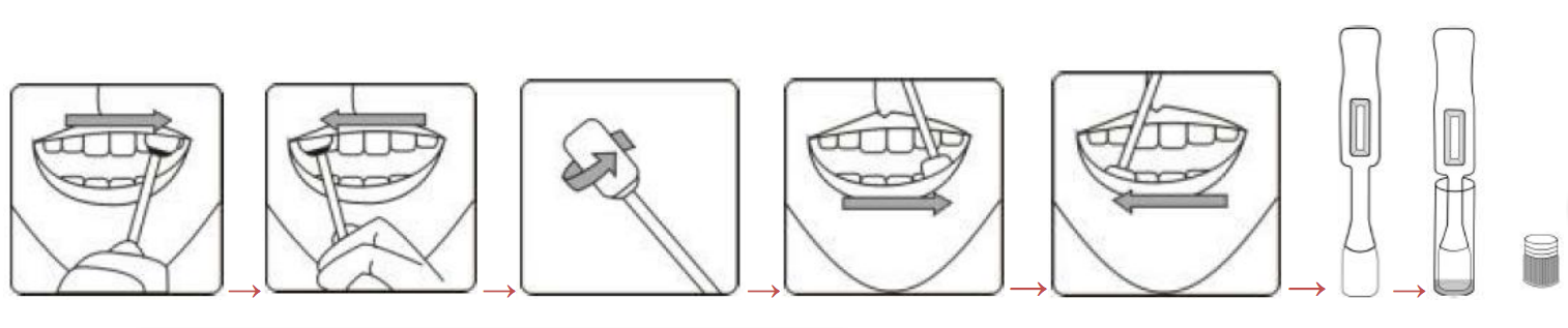 Набор теста ВИЧ слюны домашний легко приводится в действие точность 99% обеспечивает непосредственный результат