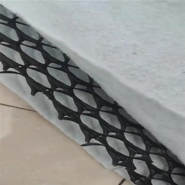 3D Composite Drainage Geonet for Greening System and Other Environmental Projects